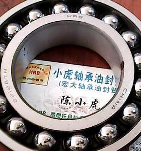 2212ATN 1512 60*110*28 HRB哈尔滨调心轴承内径60外110高28毫米