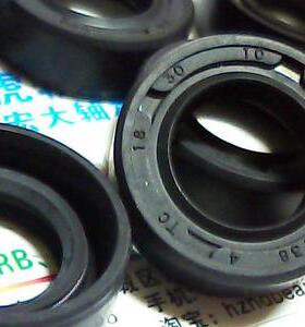 TC 18*30*10 18X30X10 C0138 TTO台湾骨架油封内径18外30高10毫米