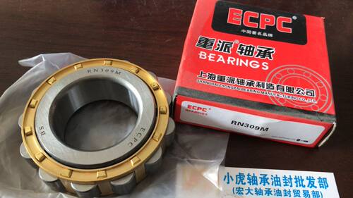 RN309M45*86..5*25ECPC轴承