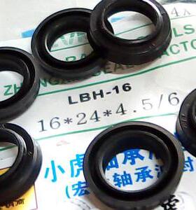 LBH16 DHS16 16*24*4.5*6 KVK防尘油封内径16外径24内高度6毫米