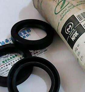 TC 40*56*10 40x56x10 台湾NAK内骨架油封内径40外径56高度10毫米