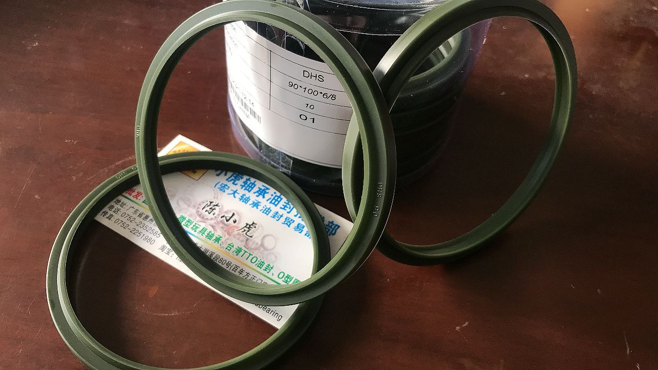 DHS90*100*6/8CHK液压防尘油封