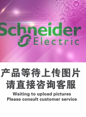 Schneider施耐德 M241小型PLC本体可编程控制器TM241CEC24U  24V