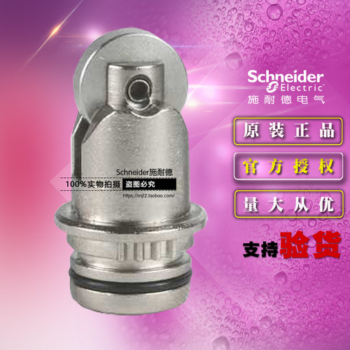 全新原装正品Schneider施耐德限位开关操作头 ZCE02 行程开关头部