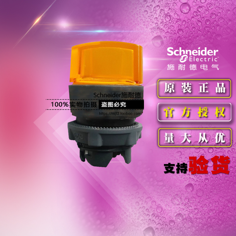 施耐德 ZB5AK1253C 黄色带灯2位选择开关按钮头ZB5-AK1253C正品