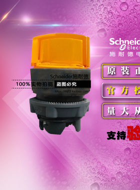 施耐德 ZB5AK1253C 黄色带灯2位选择开关按钮头ZB5-AK1253C正品