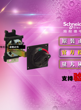 原装正品施耐德NSC250ROTEO延长旋转黑色手柄 适用于NSC160/250