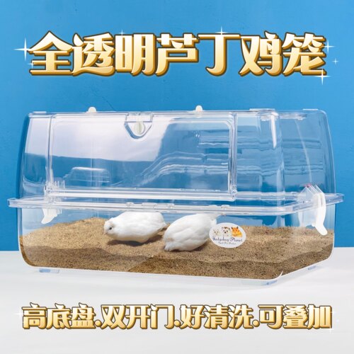 芦丁鸡笼亚克力透明饲养箱房子