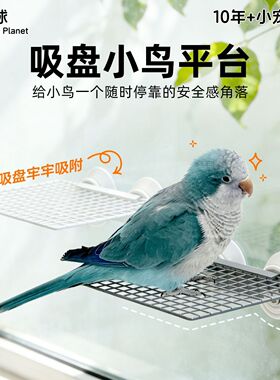 大吸盘平台鹦鹉玄凤牡丹虎皮站架玻璃亚克力站台休息跳台