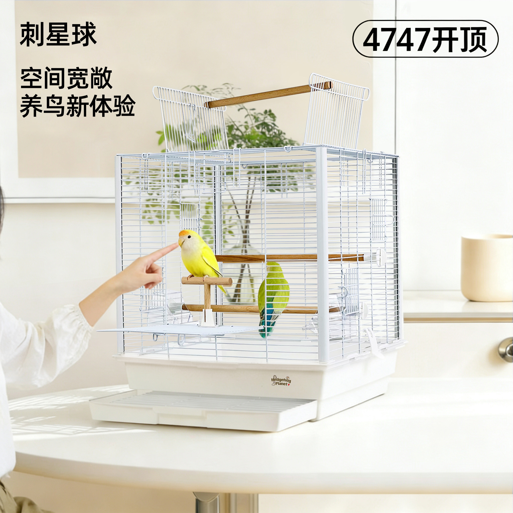 47cm赛博银4747开顶横线刺星球立柱基础鹦鹉鸟笼虎皮牡丹玄凤笼