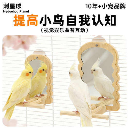 鹦鹉镜子楠竹加厚自然挂笼镜