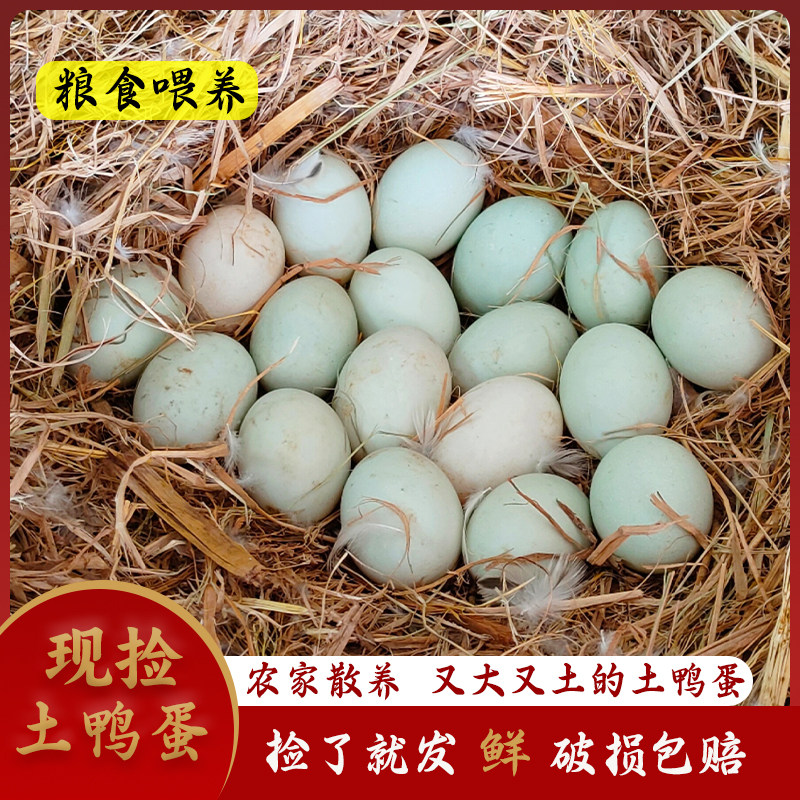 新鲜生土麻鸭蛋农家散养粮食鸭蛋