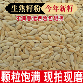 东北黑龙江老旱黄瓜籽食用黄瓜籽粉生黄瓜子粉黄瓜籽熟籽种500g克