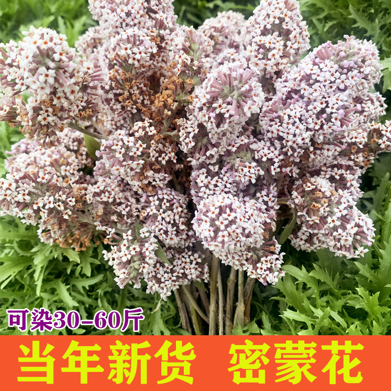 野生密蒙花250g染饭花纯植物黄饭花染料广西特产明目护眼茶蜜蒙花-封面