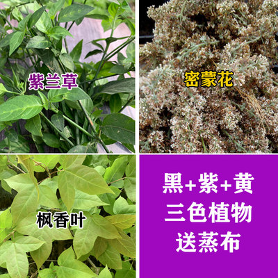 纯植物染料五色糯米饭染料