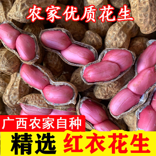 广西农家自种新鲜湿花生