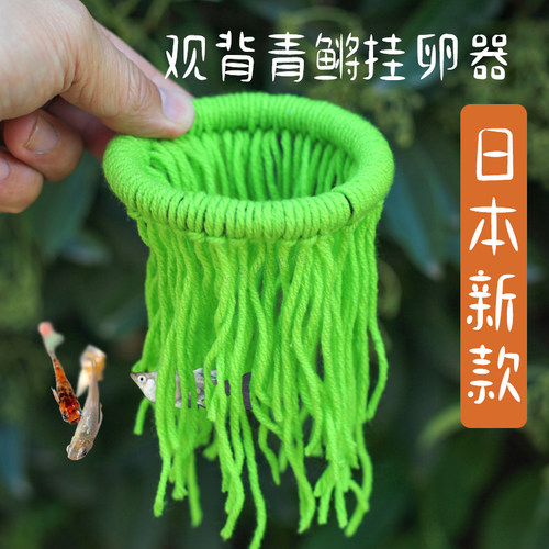 观背青鳉挂卵器收卵器