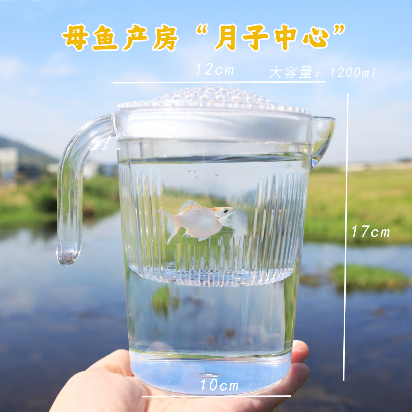 高透明全封闭孔雀鱼产房隔离杯