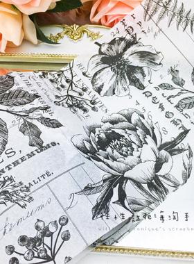 Tim Holtz轻薄复古背景纸卷 蝶古巴特不是闷同款collage paper