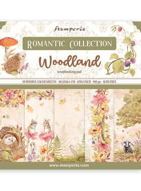 Stamperia森林 大自然小动物进口背景纸本模具Woodland