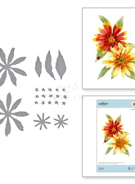 Spellbinders小雏菊菊花花朵碳钢切模刀模Gaillardia Etched Dies