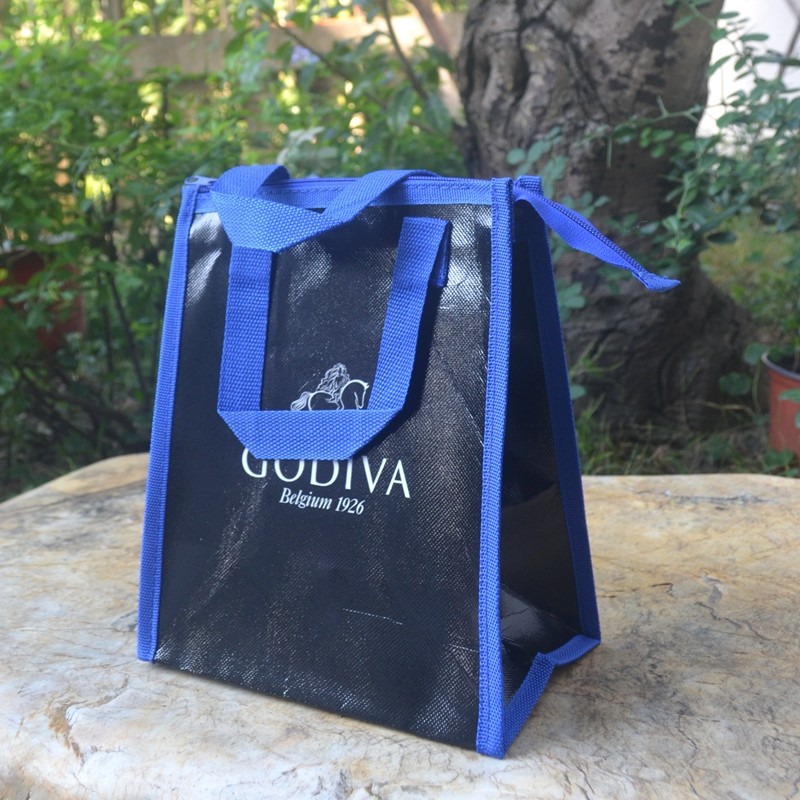 外贸高品质拉链加厚防水小号手提袋铝箔环保袋便当包饭盒袋礼品袋,收纳整理,便当包,淘宝优惠券,粉丝福利购,淘宝优惠卷