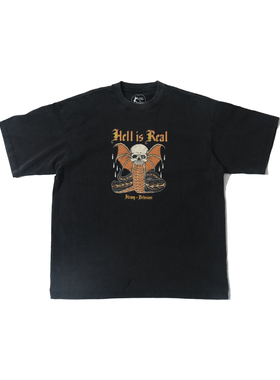 H-D  HELL IS REAL    蜥蜴蛇 复古机车 重磅小领口 短袖T恤