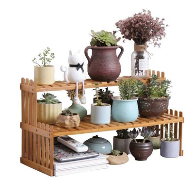 PlantShelfFlowerDisp