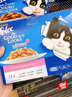 澳洲直邮 Purina 普瑞纳 Felix Doubly Delicious 猫粮 12小包1盒