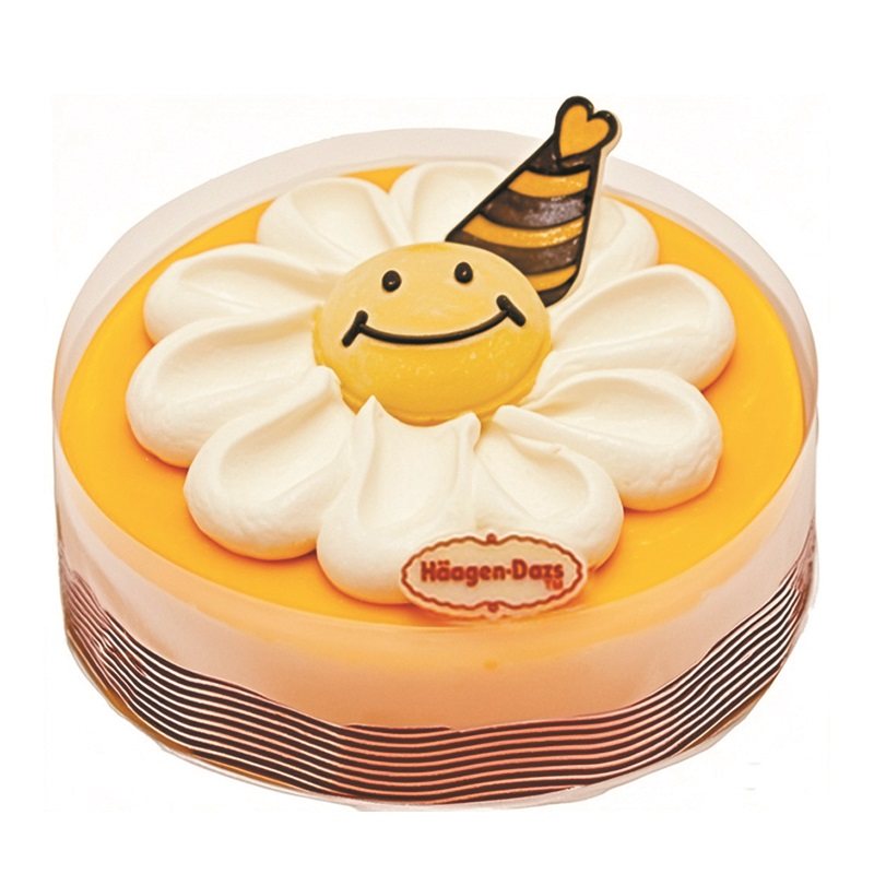 哈根达斯冰淇淋雪糕专卖店生日蛋糕同城专人配送上门速递到家