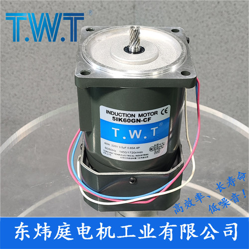 TWT电机 60W齿轮减速电机5IK60GN-CF 5RK60GN-CF台湾东炜庭电机