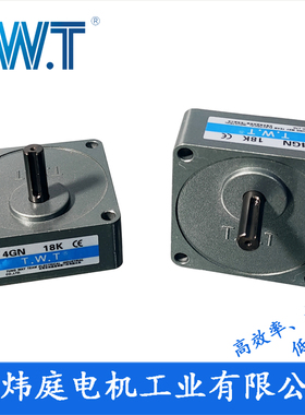 TWT电机 4GN3K~180K齿轮减速箱4GN20K 4GN100K  台湾东炜庭电机