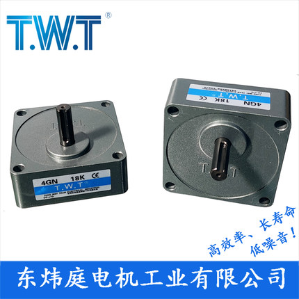 TWT电机 4GN3K~180K齿轮减速箱4GN20K 4GN100K  台湾东炜庭电机