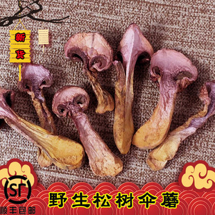 松蘑长白山蘑菇干货东北特产红松伞蘑松树丁新货250克500克礼盒