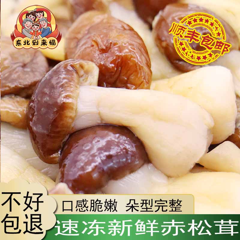 赤松茸速冻新鲜顺丰包邮
