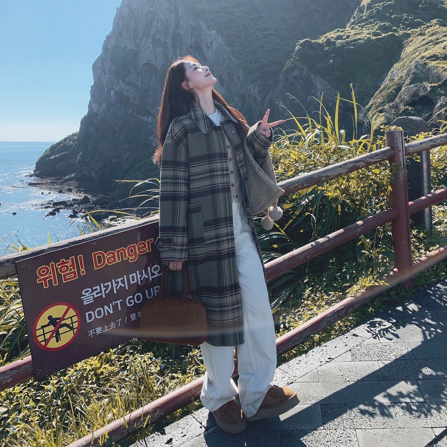 2025冬季新款学院风复古格子翻领呢子大衣女设计感超好看毛呢外套,女装毛呢外套,2C077