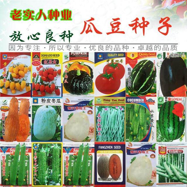 蔬菜种子春夏种四季播丝瓜苦瓜豆角甜瓜西瓜南瓜冬瓜番茄果菜种子