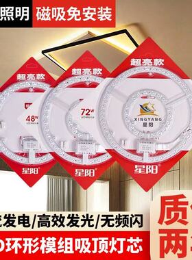 耐用高亮LED灯芯12W18W24W36W48W72W卧室餐厅透镜磁铁变光