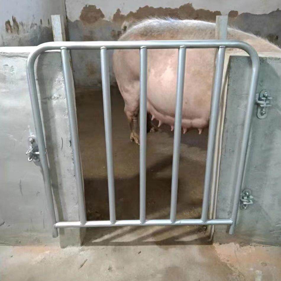镀锌猪圈门母猪栏门钢管门厂家直销猪仔栏门猪舍门猪栏门羊圈门