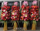 上海开业花篮同城开张花篮乔迁演唱应援发布会庆典全市鲜花速递