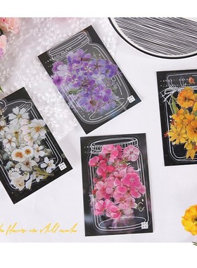 沐染山野微光PET贴纸包清新植物紫色花朵手帐日记DIY装饰素材贴画