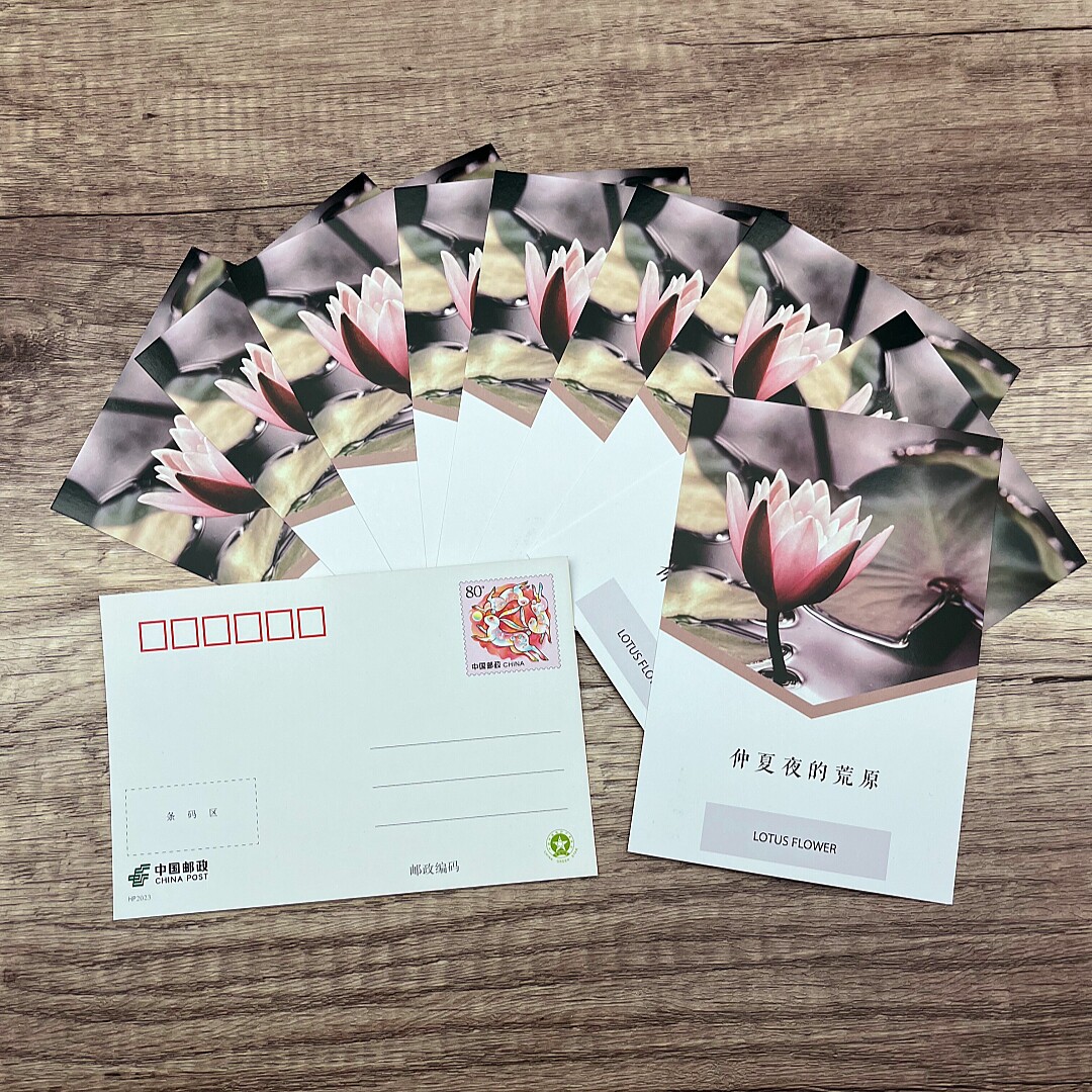 夏天荷花莲花明信片唯美小清新祝福贺卡10张邮政80分邮资片可邮寄