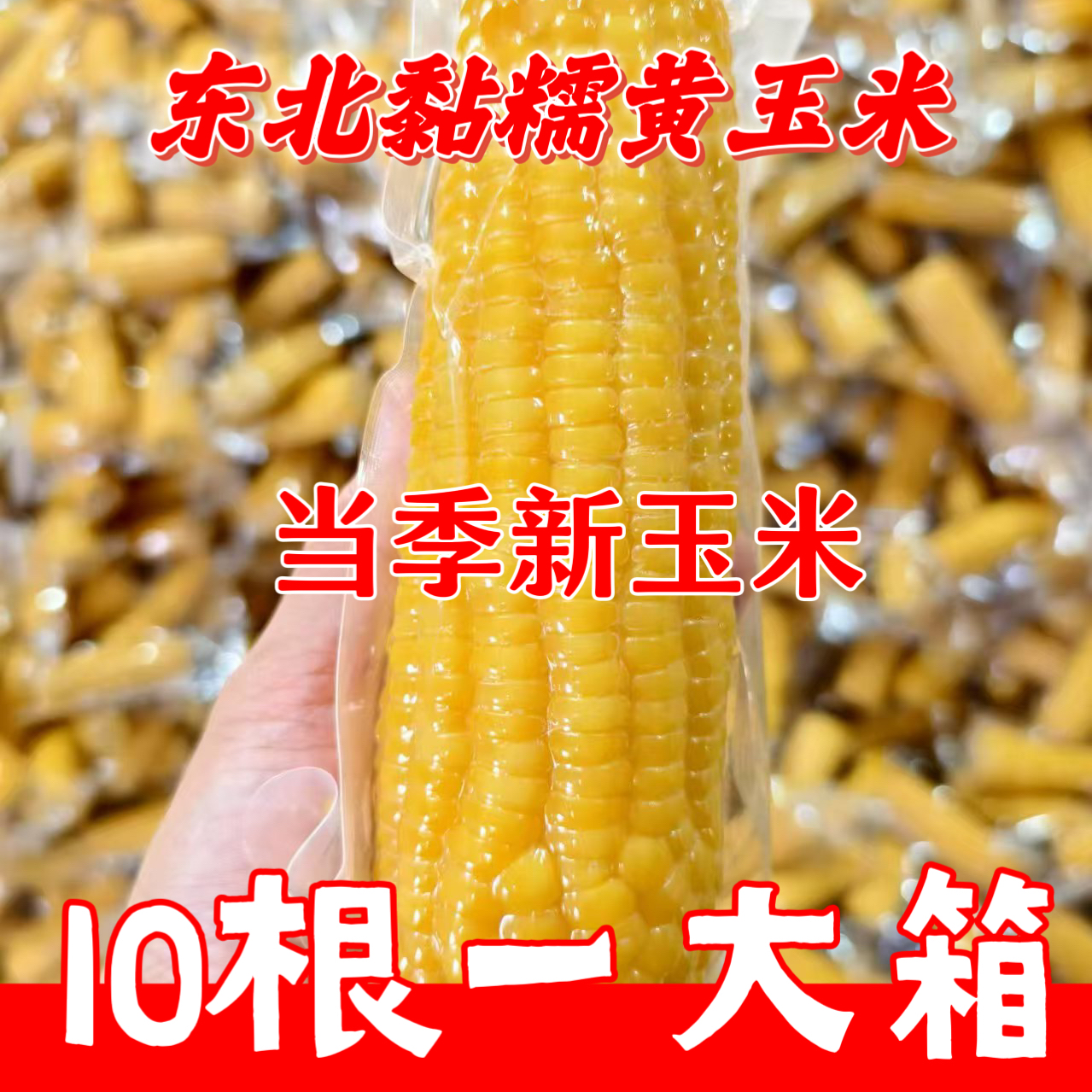 10根糯玉米东北新鲜黄糯玉米真空包装香甜软糯低脂代餐粗粮