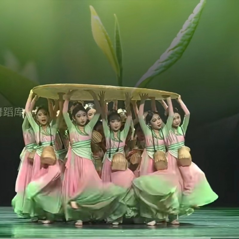 一叶春茶古典舞演出舞蹈服醉花溪中国风女子艺考剧目表演服舞台