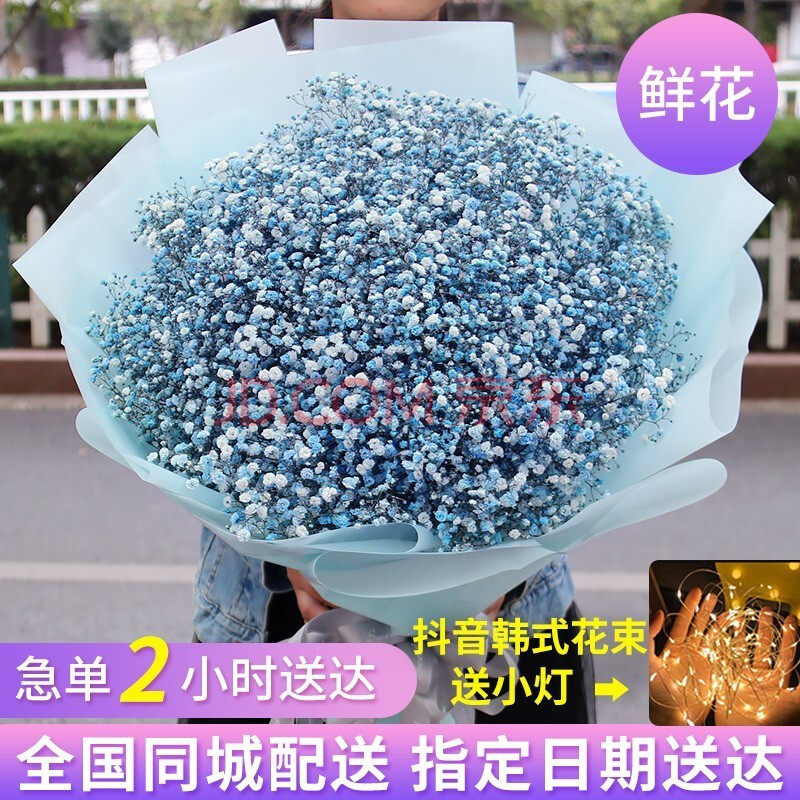 蓝色满天星生日友情昆明鲜花