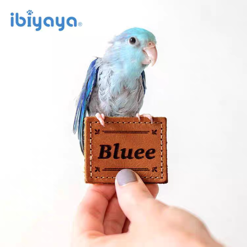 ibiyaya激光雕刻宠物定制鹦鹉贴