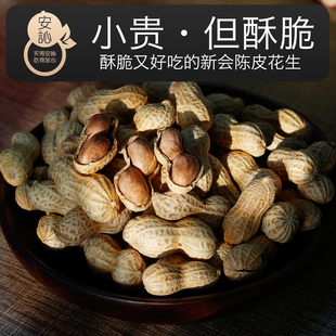 安訫江门新会特产陈香酥脆休闲零食坚果食陈皮花生带壳下酒500g