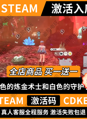 「永久入库」红色的炼金术士和白色守卫steam激活码cdkey送修改器
