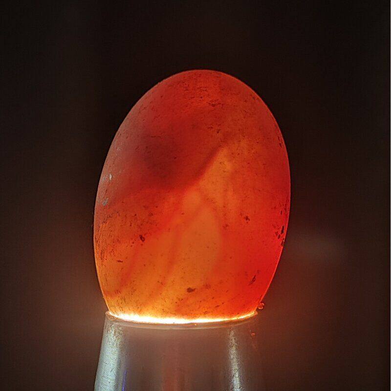 草龟蛋龟蛋受精可孵化鳄龟蛋乌龟蛋巴西龟蛋火焰龟蛋肉食观赏宠物