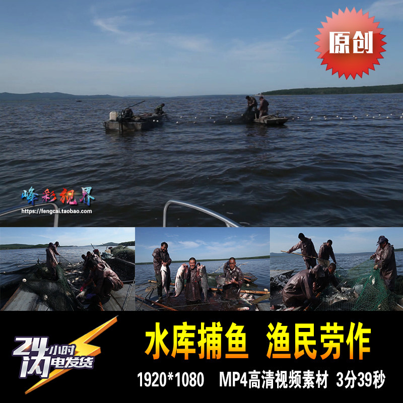 水库捕鱼 夏季渔民收网劳作大鱼笑脸 原创实拍高清视频素材
